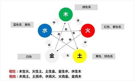 五行 花|【植物五行象徵】常見植物的五行屬性 